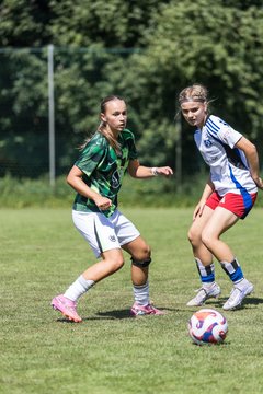 Bild 100 - wBJ Hamburger SV - VfL Wolfsburg : Ergebnis: 5:1